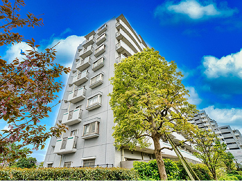 現地外観写真 外観