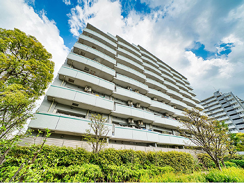 現地外観写真 外観