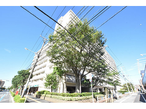 現地外観写真　外観写真２