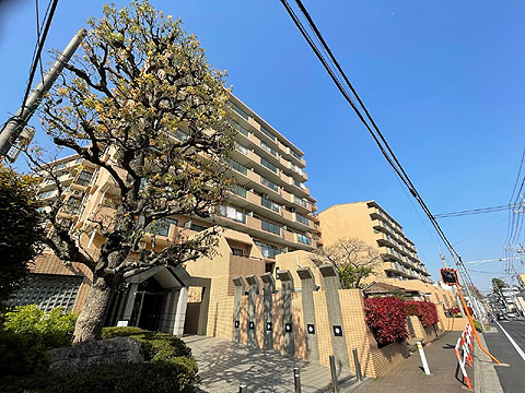 現地外観写真　マンション外観