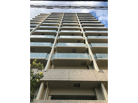 現地外観写真 外観見上げ