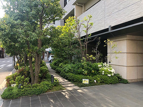 現地外観写真 植栽