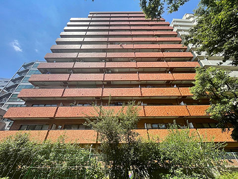 現地外観写真　IMG_7298