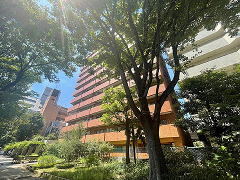 現地外観写真　IMG_7299