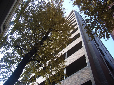 その他共用部　外観3