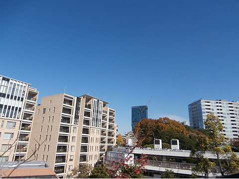 その他共用部 ルーフバルコニーからの眺望