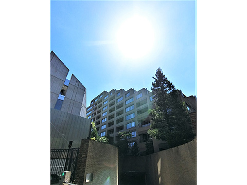 現地外観写真 外観