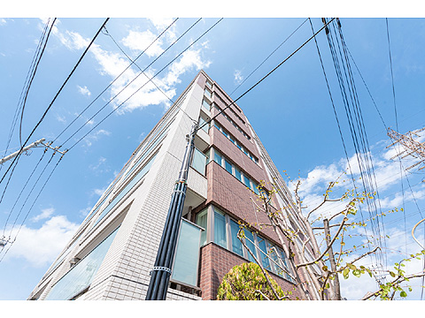 現地外観写真 外観