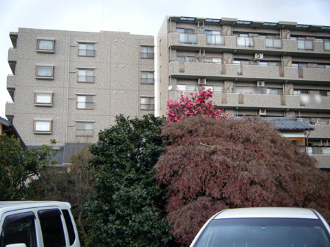 その他共用部 外観6