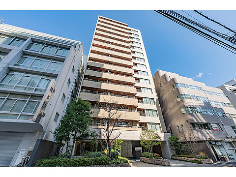 現地外観写真 外観