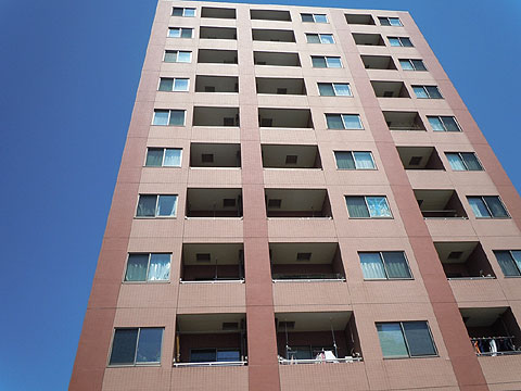 現地外観写真 外観