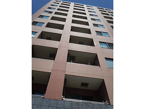 現地外観写真 外観