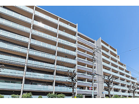 現地外観写真 外観