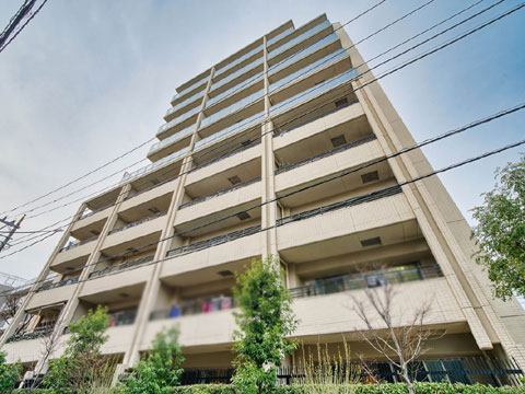 現地外観写真 外観