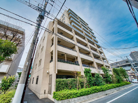 現地外観写真 外観