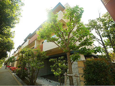 現地外観写真 8