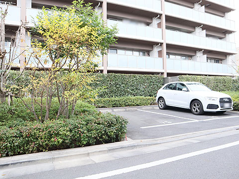 駐車場　写真向かって左側が専用駐車場スペース（月額使用料１４