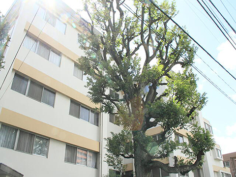 その他共用部　外観3