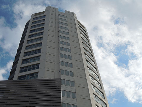 現地外観写真 外観