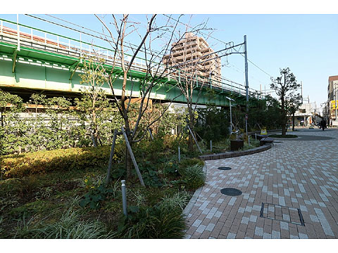 現地外観写真 IMG_2186