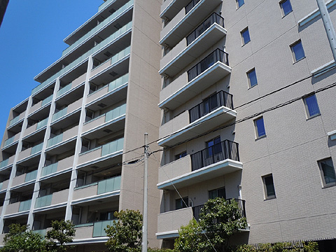 現地外観写真 外観