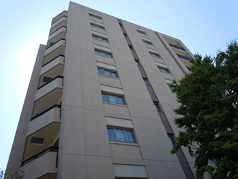 現地外観写真 外観