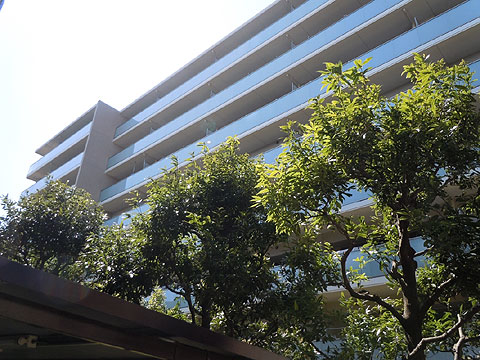 現地外観写真 外観