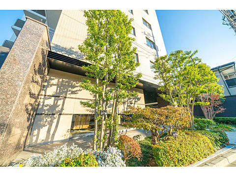 現地外観写真 外構