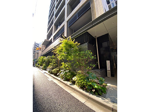 現地外観写真 植栽