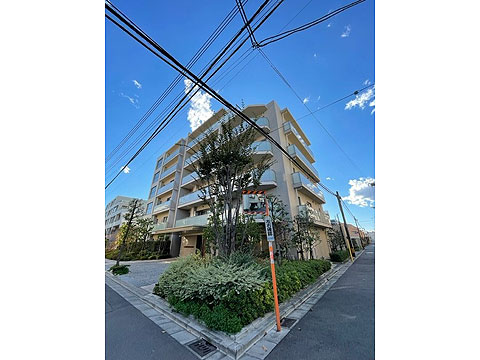 現地外観写真 外観