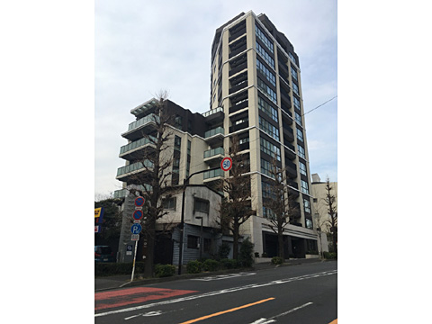 現地外観写真 外観