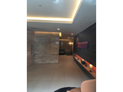 ロビー ロビー (2)