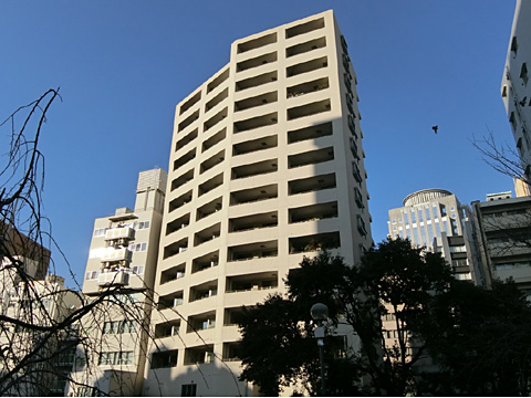 現地外観写真　CIMG1872