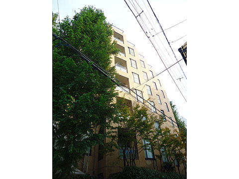 現地外観写真 外観