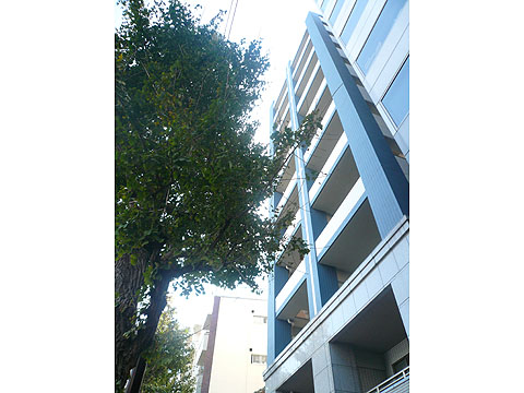 その他共用部 外観2