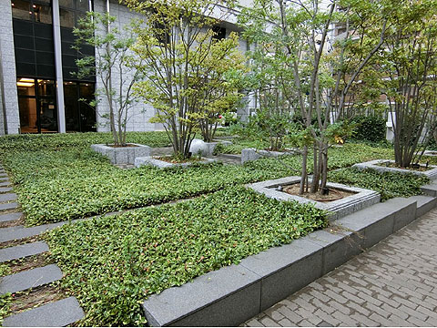 現地土地写真 現地エントランス