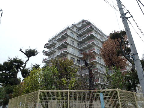 現地外観写真 外観