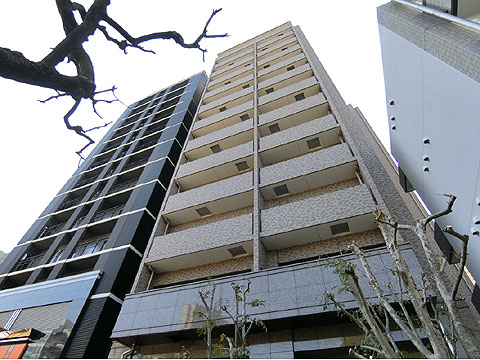 現地外観写真 CIMG1852