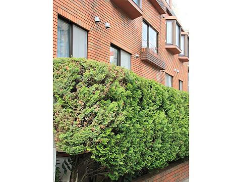 その他共用部 外観3