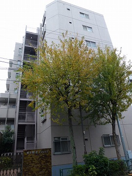 その他共用部 外観6