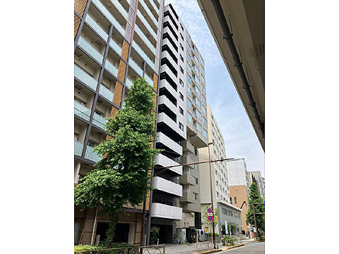 現地外観写真 外観