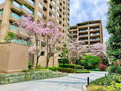 その他共用部 共用庭