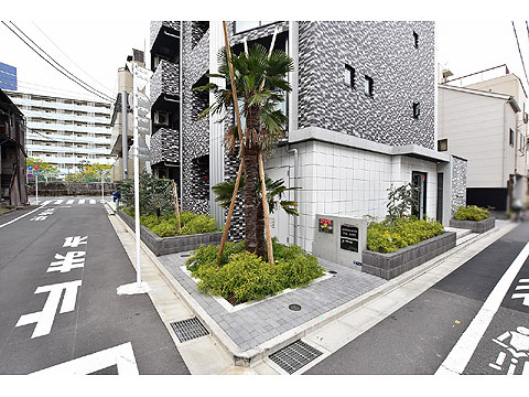 現地外観写真　現地前面道路