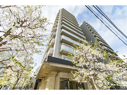 現地外観写真 外観写真