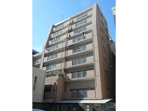 現地外観写真 外観写真(南面)