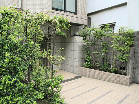 その他共用部 エントランス2