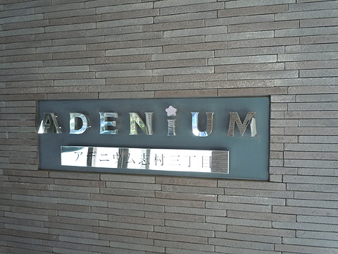 現地外観写真 外観