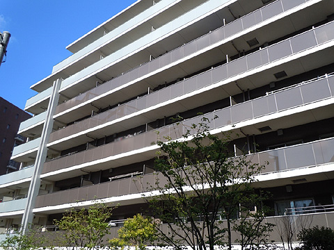 現地外観写真 外観