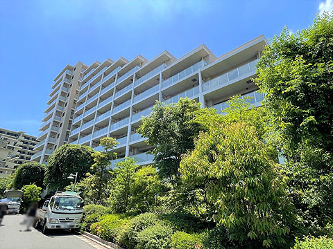 現地外観写真 外観