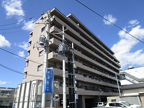 現地外観写真 外観